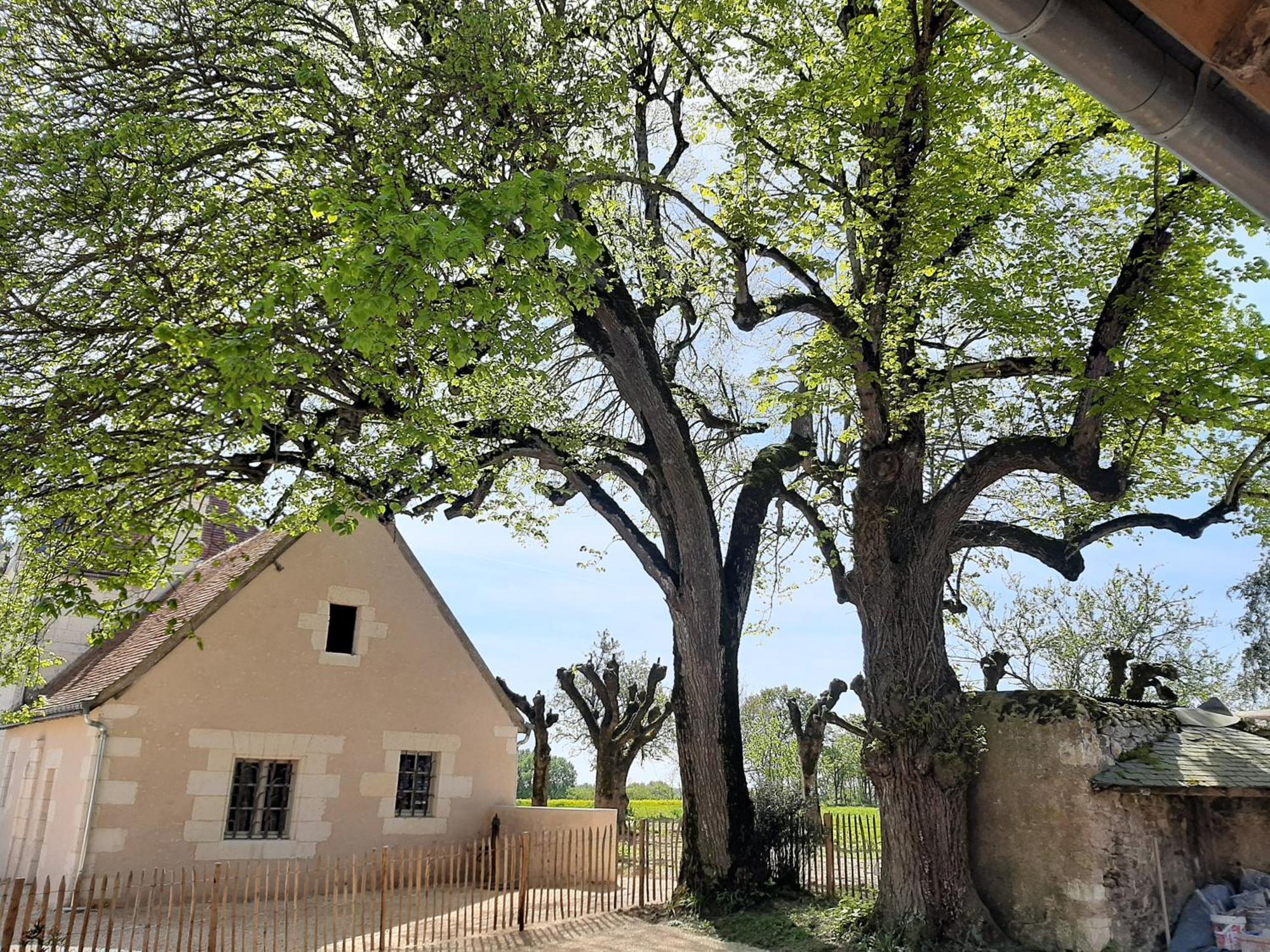 Le Puits Renaissance - Gites De Caractere Et Piscine Chauffee Chambourg-sur-Indre Eksteriør bilde